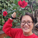Nguyễn Thị Loan