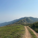 Nguyễn Đức Thiện