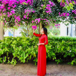 Hồng Bùi