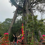 Hoàng Anh Đạt