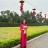 Tạ thị Quyên