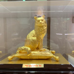 Đinh Việt Dũng