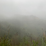 Phạm Trường Xuân