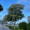 Trương Thị Thanh Hương