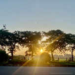 Hương Hương