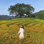 Thanh Tam Nguyen