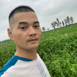 Thành Đỗ