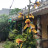 Nguyễn Hoàng Thiên Đức Nguyễn Hoàng Thiên Đức