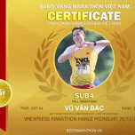 Bac Vu Van
