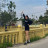 Hồng Ba
