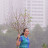 Thanh Lương Thanh Lương