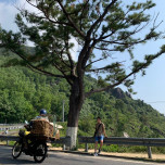 Nguyễn Bá   Hải