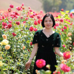 Phan Thị Thu Hằng