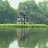 Hoa Nắng