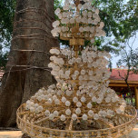 Hoàng Thị Hoà