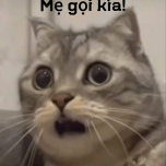 Đố biết là ai
