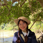 Phùng Thị Hương Giang