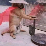 V