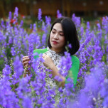 Lê Khánh Linh