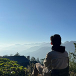 Dương Trần