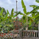 Cụm 2- Nguyễn Đức Tân