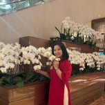 Lưu thị chi