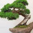 Nguyễn Đình Thái Nguyễn Đình Thái