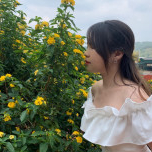 Vũ Hoàng Nam Phương