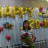 Thảo Thảo Thảo Thảo