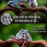 Nguyễn Ngọc Sơn Hoà