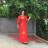 Nguyễn Liên Nguyễn Liên