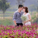 Quang Nd