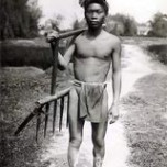 Benjamin Truồng