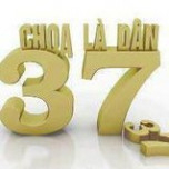 Net3 - Nguyễn Trọng Nguyên-TNN