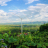 Trương Thế Thắng