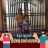 Van Hoc Ck
