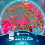 Nguyễn Hồng Thanh