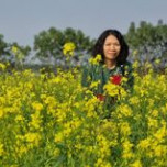 Hoai Nam Ngo