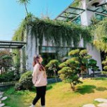 Yên Yến