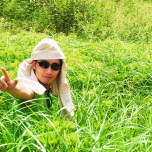 Quang Sot