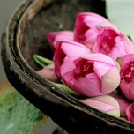 Mai Dung