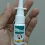 Nguyễn Văn Chiến