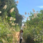 Hương Thu Nguyễn