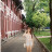 Linh Chi 