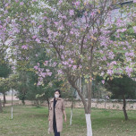 Hoàng Thị Thu Trang