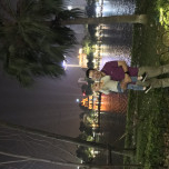Ton Thien Toan