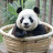 Xuan Thanh Xuan Thanh
