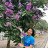 Hoa Tuyet Hoa Tuyet