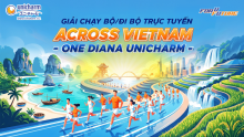 ACROSS VIETNAM - ONE DIANA UNICHARM