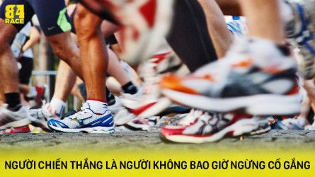 GreenStar Runners challenge 2024 - Thử thách tháng 2, Đón Tết Giáp Thìn